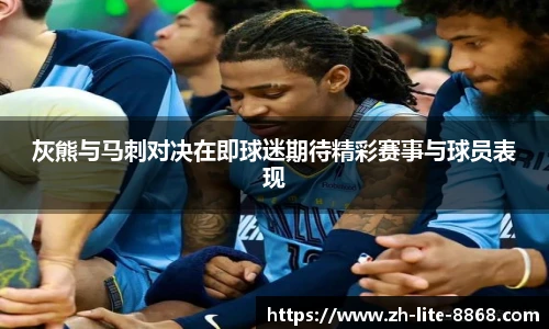 8868体育官网入口